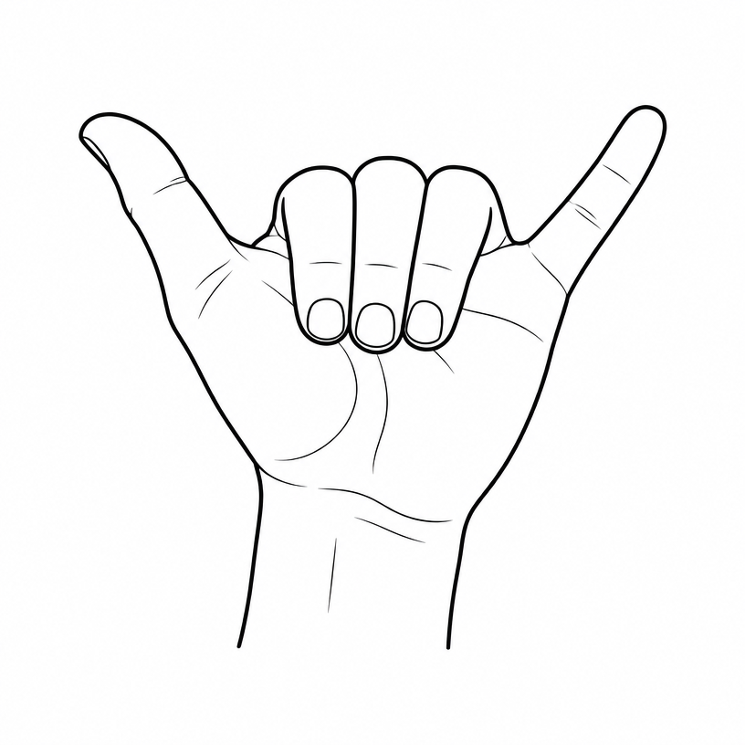 ASL letter Y: thumb and pinky extended out wide, other fingers curled into the palm.