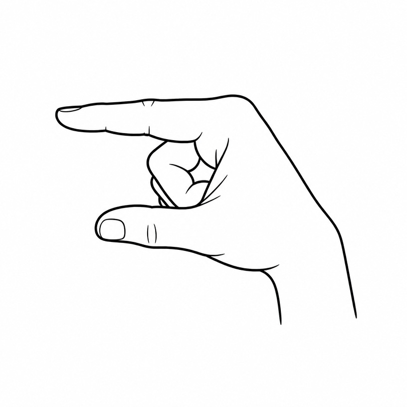 ASL letter G: index finger and thumb extended parallel and horizontal, other fingers curled.