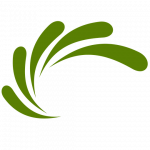 Lime Connect logo