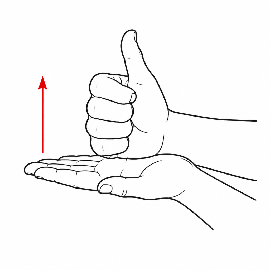 Line drawing of the ASL sign 'Help': thumb-up fist on flat palm being lifted together with a red motion arrow.