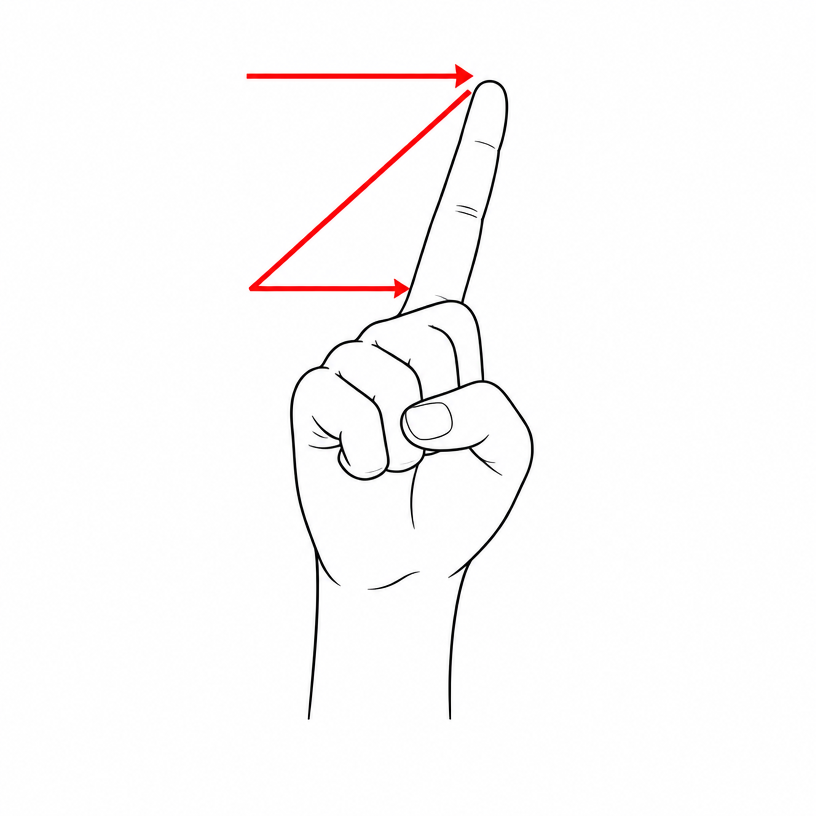 ASL letter Z: index finger tracing the letter Z in the air, shown with a red zig-zag motion arrow.