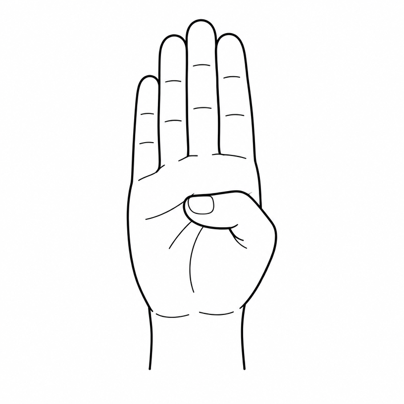 ASL letter B: flat open hand, four fingers straight up and together, thumb folded across the palm.