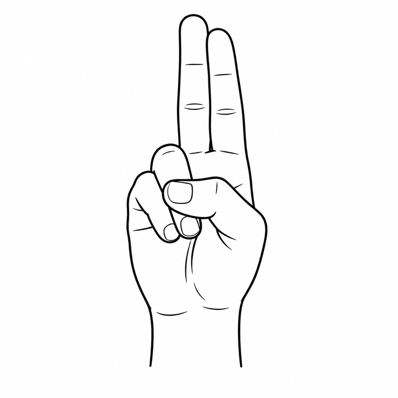 ASL letter U: index and middle fingers extended together and straight up.