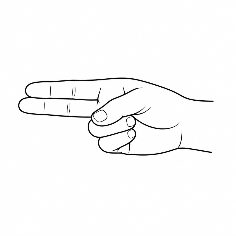 ASL letter H: index and middle fingers extended together horizontally, other fingers curled.